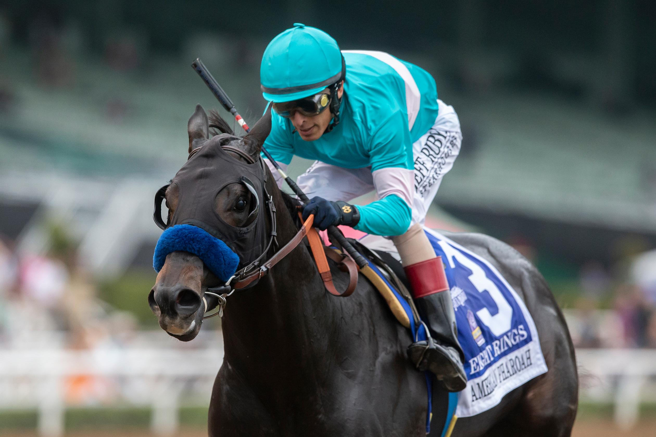 tvg breeders cup